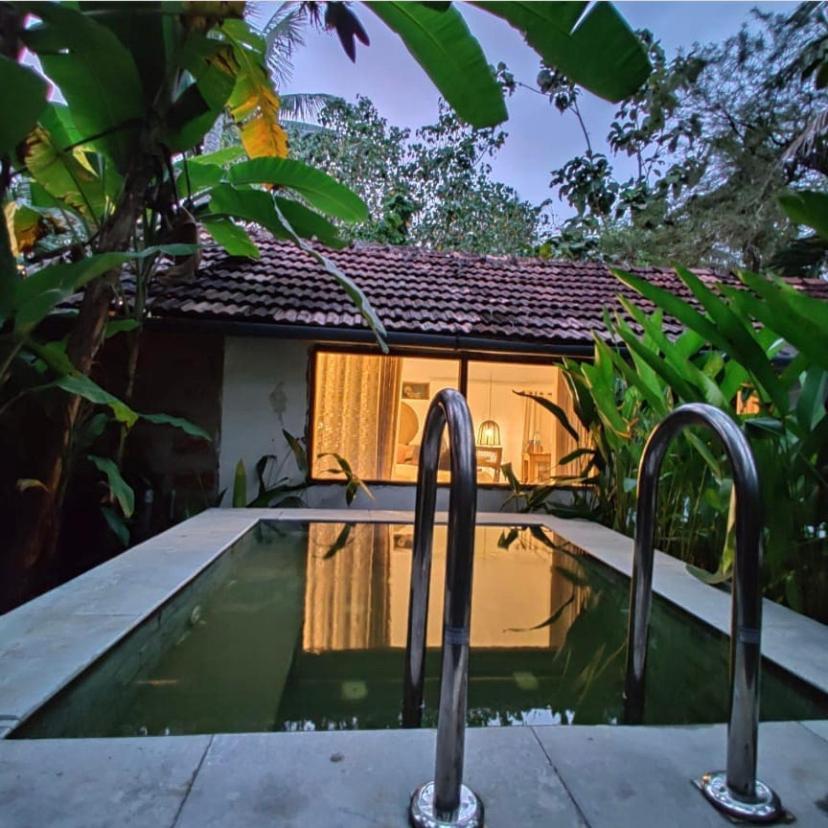 Sunsets And Palm Trees Bed and Breakfast Alappuzha Eksteriør billede
